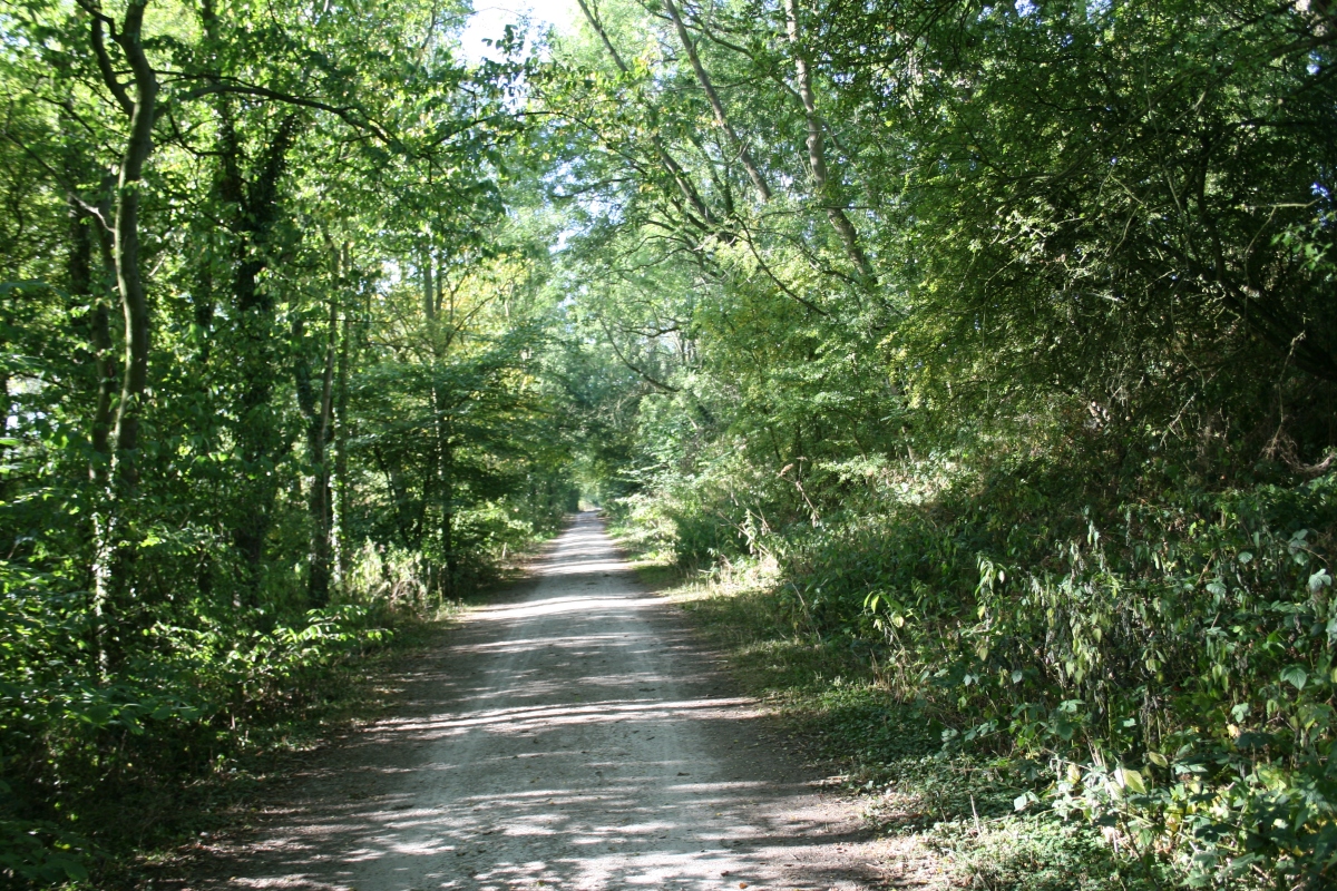 Ashbourne to Tissington on the Tissington Trail, Derbyshire – August 2022